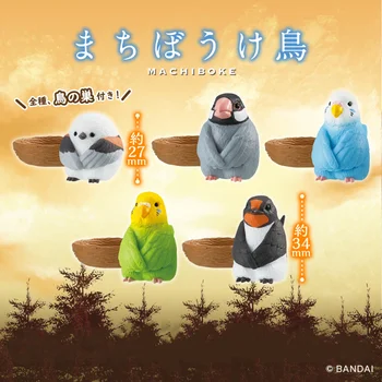 BANDAİ Gashapon CapsuleToy Sevimli Kawaii Kuşlar Bekleyen Papağan Serçe Gacha Fiugre Modeli Masa Süsler Çocuklar için Hediyeler